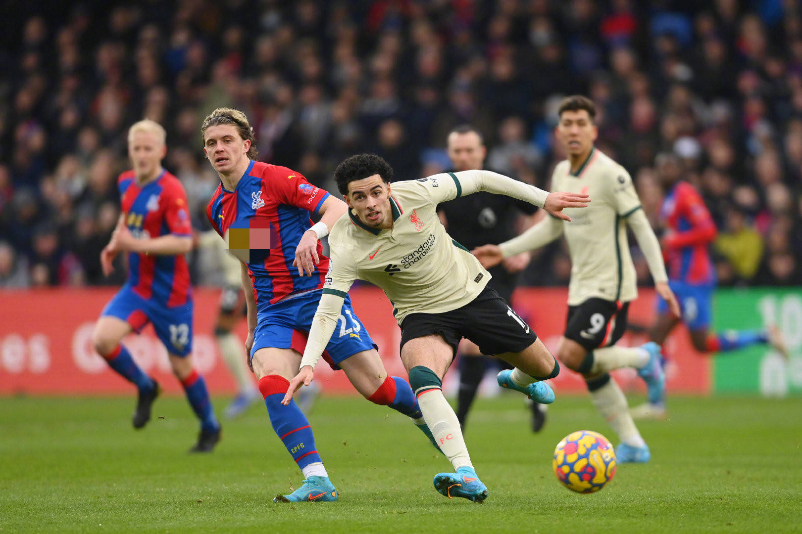 你的一句话 你的一句话